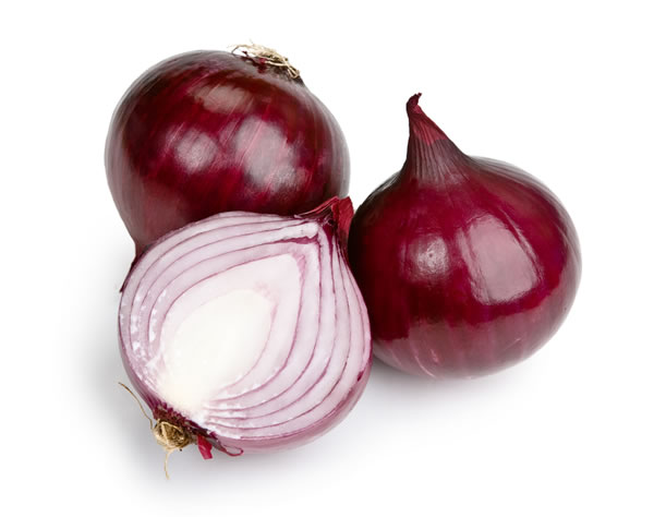 onion svg